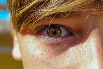 Close-up portrait of human eye