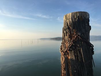 Wooden posts in sea against sky