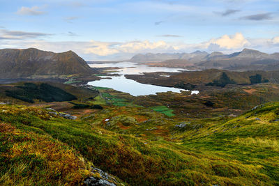 Panoramic view of sea, trees and mountains during sunset on lofoten islands in norway