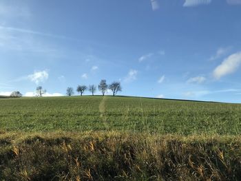 Scenic view of field against sky