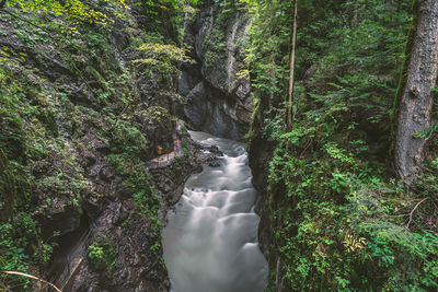 Stream amidst rock formations in forest