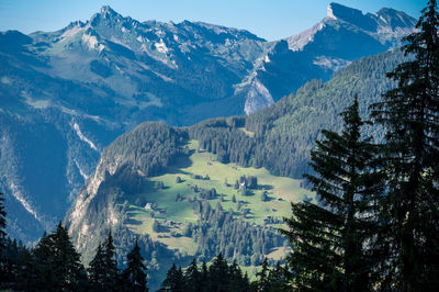 Scenic view at wengen above lauterbrunnen valley, switzerland