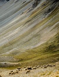 View of landscape