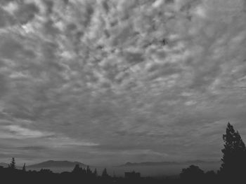 Low angle view of silhouette trees against sky