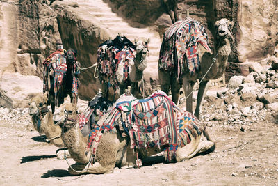 Rear view of people in traditional clothing