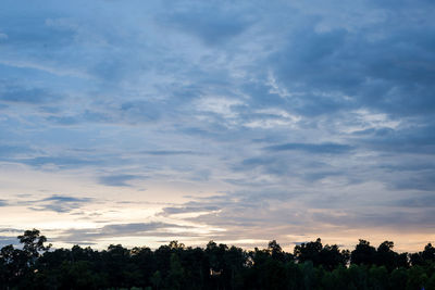 Low angle view of silhouette trees against sky
