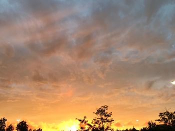 Low angle view of silhouette trees against dramatic sky