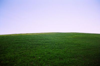 Scenic view of grassy field against sky