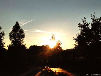 Silhouette of trees at sunset