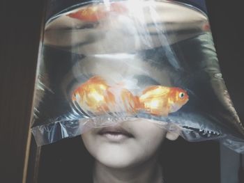 Fishes swimming in plastic bag against boy