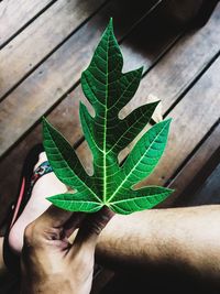 Cropped hand holding leaf over wooden table