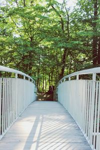 View of footbridge along trees