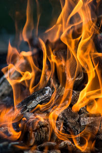 Close-up of bonfire