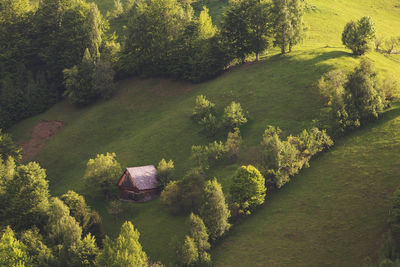 High angle view of trees on field