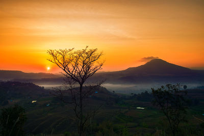 Scenic view of landscape against orange sky