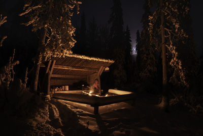 Illuminated trees and plants in forest during winter at night