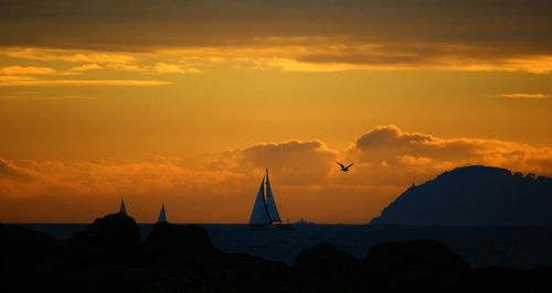 Scenic view of sea at sunset