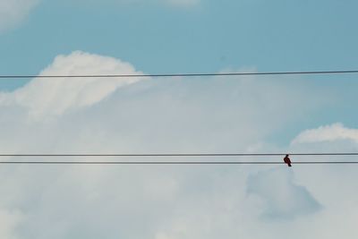 Low angle view of birds perching on cable