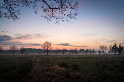 Silhouette trees on field against sky at sunset