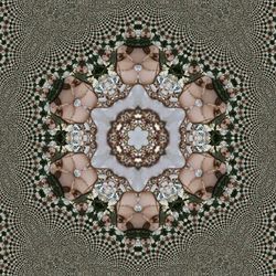 Directly above shot of man