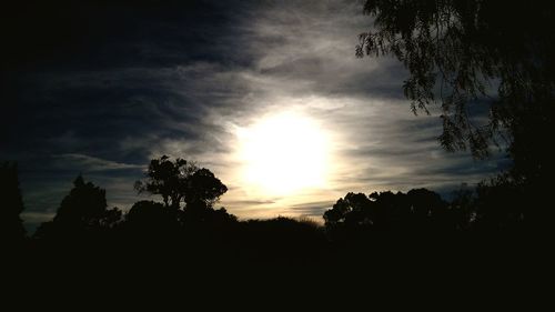 Silhouette of trees against cloudy sky