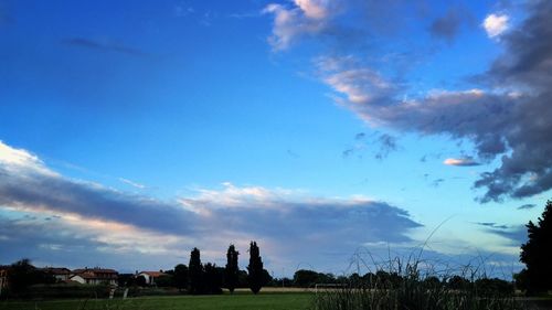 Trees on field against cloudy sky