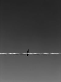 Low angle view of bird perching on cable against sky