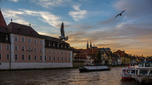 Boats in harbor with buildings in background