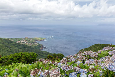 Scenic view of sea against sky