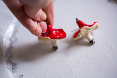 Close-up of hand holding red toy