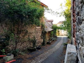 Street amidst trees and houses against sky