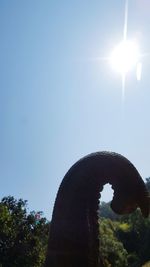 Low angle view of giraffe against blue sky