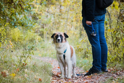 Low section of man standing with dog on field