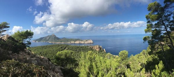 Panoramic view of sea and trees against sky