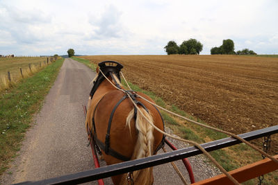 View of horse cart on land