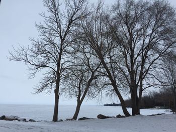 Bare tree by sea against sky during winter