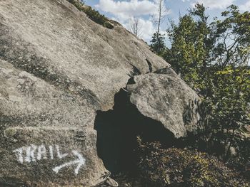 Low angle view of rock formation amidst trees against sky