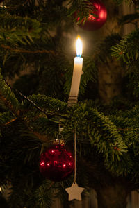 Close-up of illuminated christmas tree