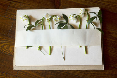 High angle view of vegetables on cutting board