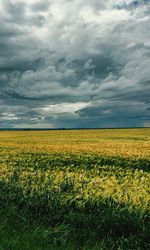 Scenic view of field against cloudy sky