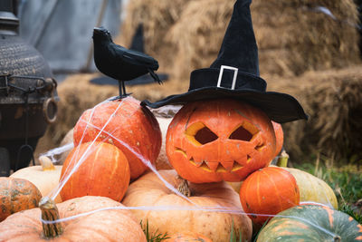 Close-up of pumpkin on pumpkins during autumn