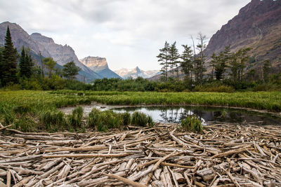 Scenic view of lake and mountains against sky