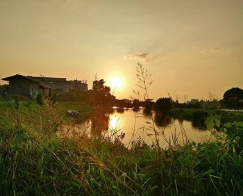 Scenic view of river at sunset