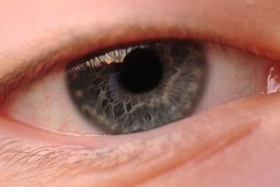 Extreme close-up of human eye