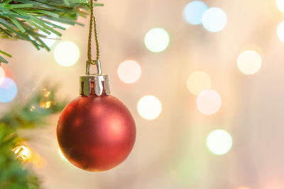 Close-up of christmas lights hanging on tree
