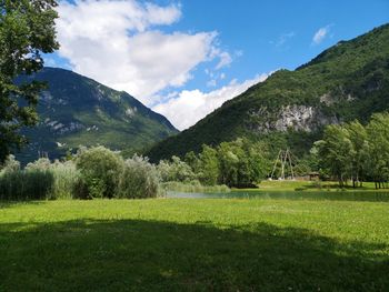 Scenic view of field against sky