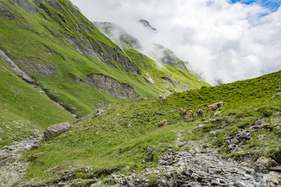 Scenic view of green landscape against sky