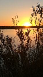 Scenic view of lake against orange sky