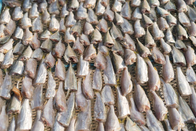 Full frame shot of fish for sale at market