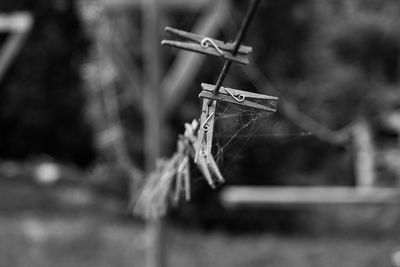 Close-up of clothespins on rope